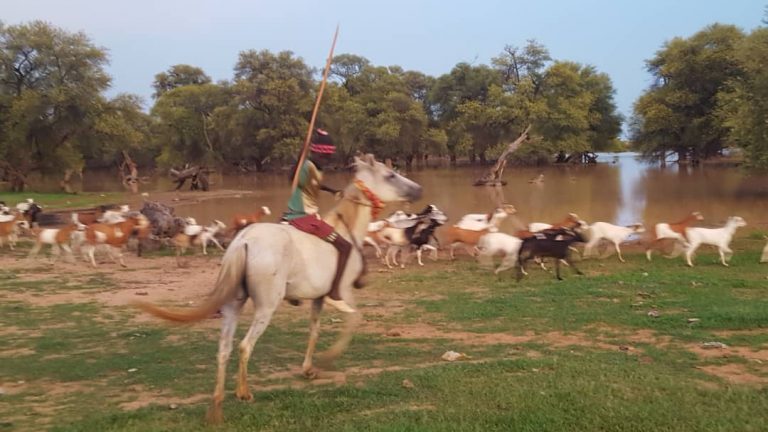 Lire la suite à propos de l’article The History of Still Life in European Art