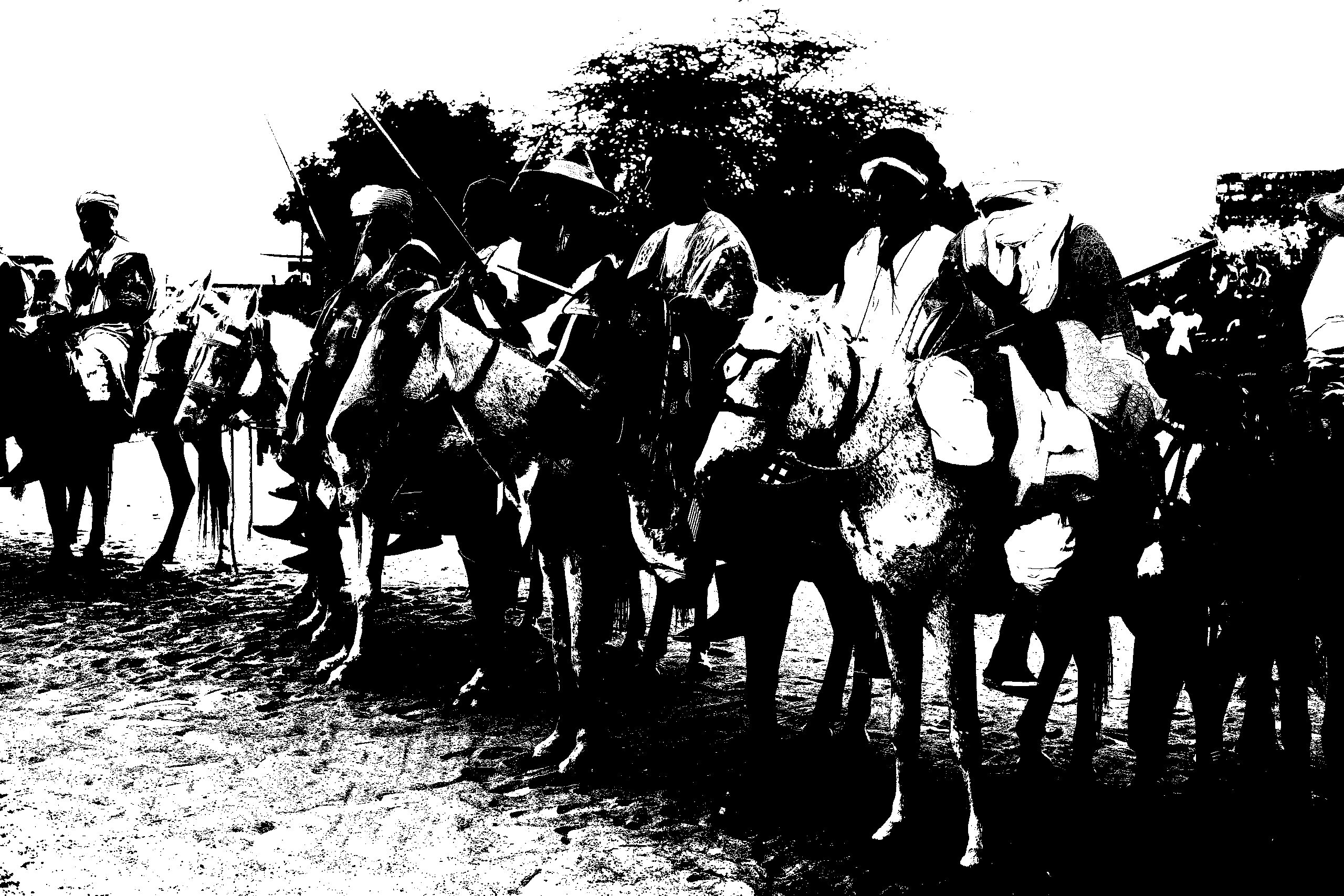 8D1A9664-1-scaled (1)